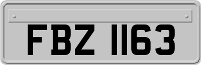 FBZ1163
