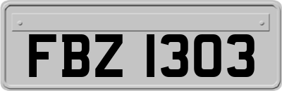 FBZ1303