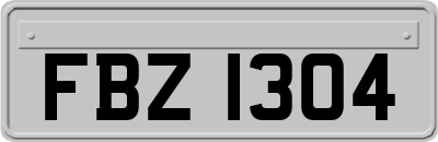 FBZ1304