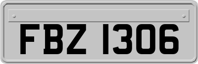 FBZ1306