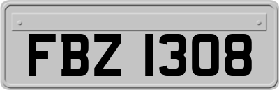 FBZ1308