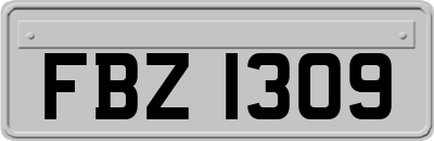FBZ1309