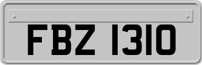 FBZ1310