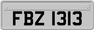 FBZ1313