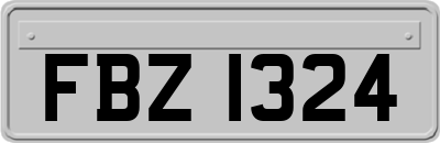 FBZ1324