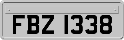 FBZ1338