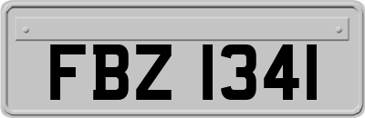 FBZ1341