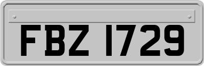 FBZ1729