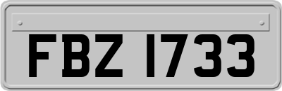 FBZ1733