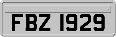 FBZ1929