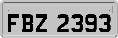 FBZ2393