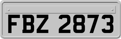 FBZ2873