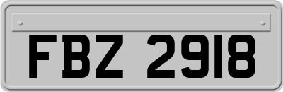 FBZ2918