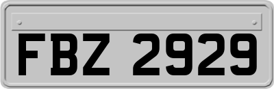 FBZ2929