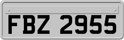 FBZ2955