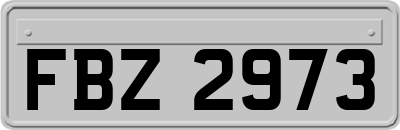 FBZ2973