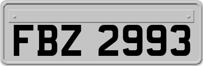 FBZ2993