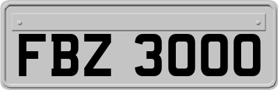 FBZ3000