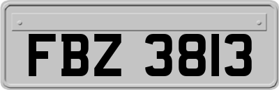 FBZ3813