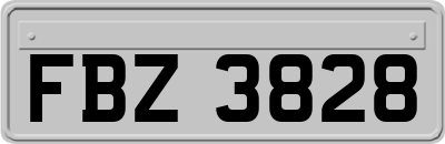 FBZ3828