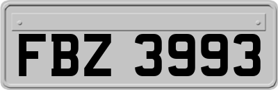 FBZ3993