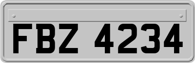 FBZ4234