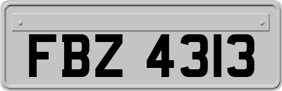 FBZ4313
