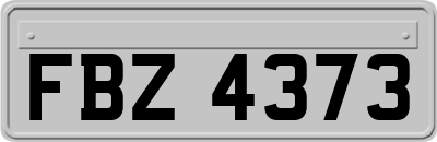 FBZ4373