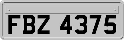 FBZ4375