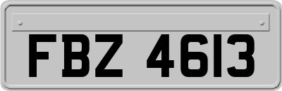 FBZ4613