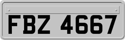 FBZ4667