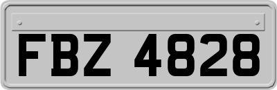 FBZ4828
