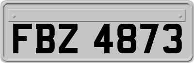 FBZ4873