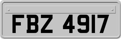 FBZ4917