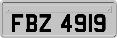 FBZ4919