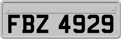 FBZ4929