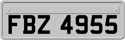 FBZ4955