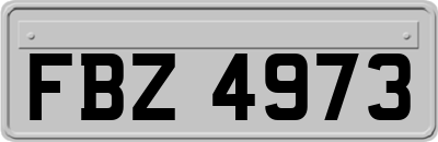 FBZ4973
