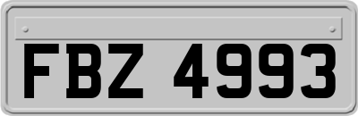FBZ4993