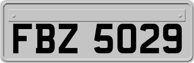 FBZ5029