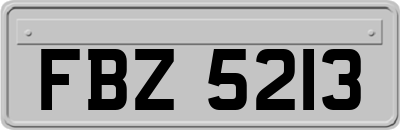 FBZ5213