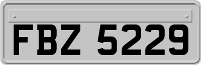 FBZ5229