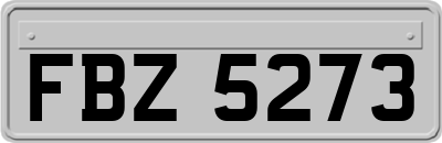 FBZ5273