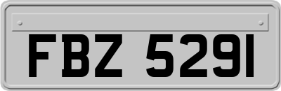 FBZ5291