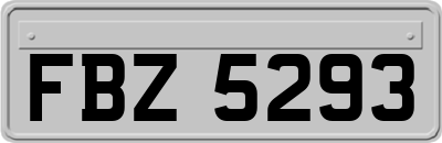 FBZ5293