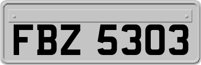 FBZ5303