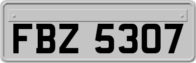 FBZ5307