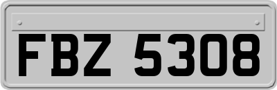 FBZ5308