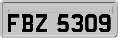 FBZ5309