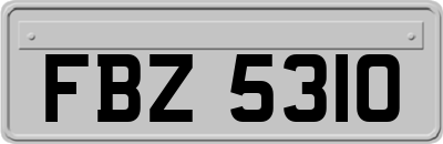 FBZ5310